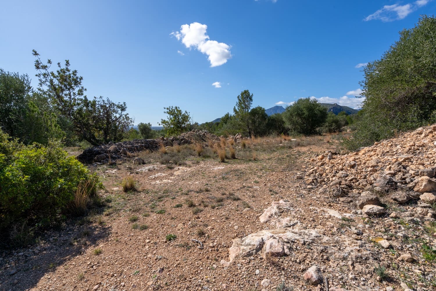 Finca/Landehus til salg i Xerta - € 70.000 (Ref: 8142994)