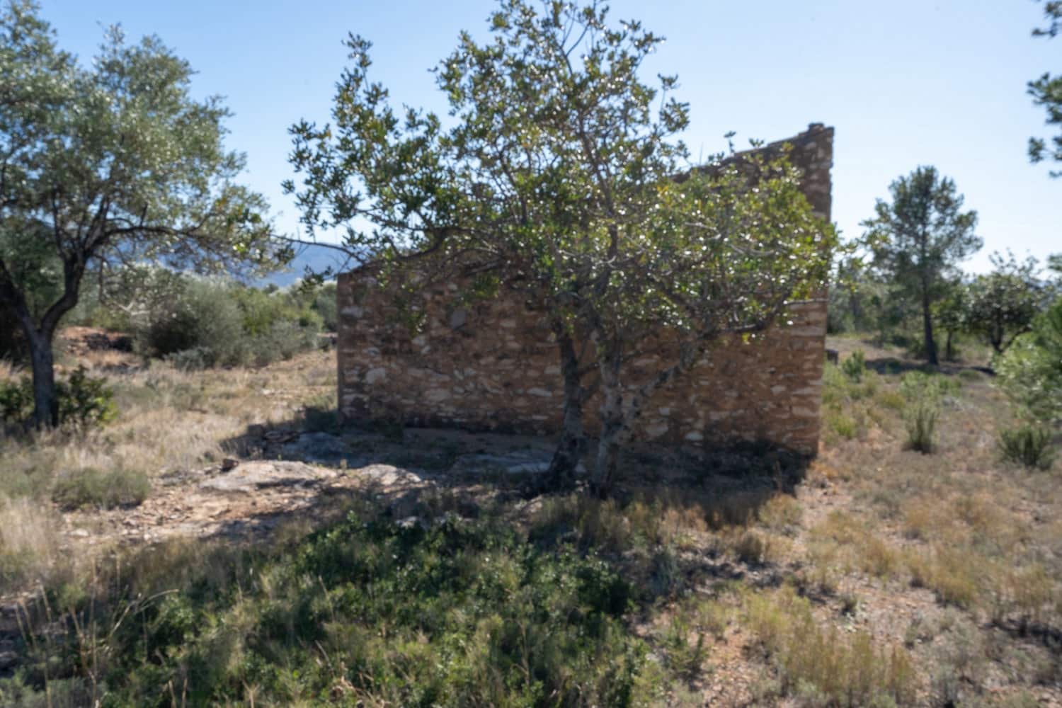 Finca/Maison de Campagne à vendre à Xerta - 70 000 € (Ref: 8142994)