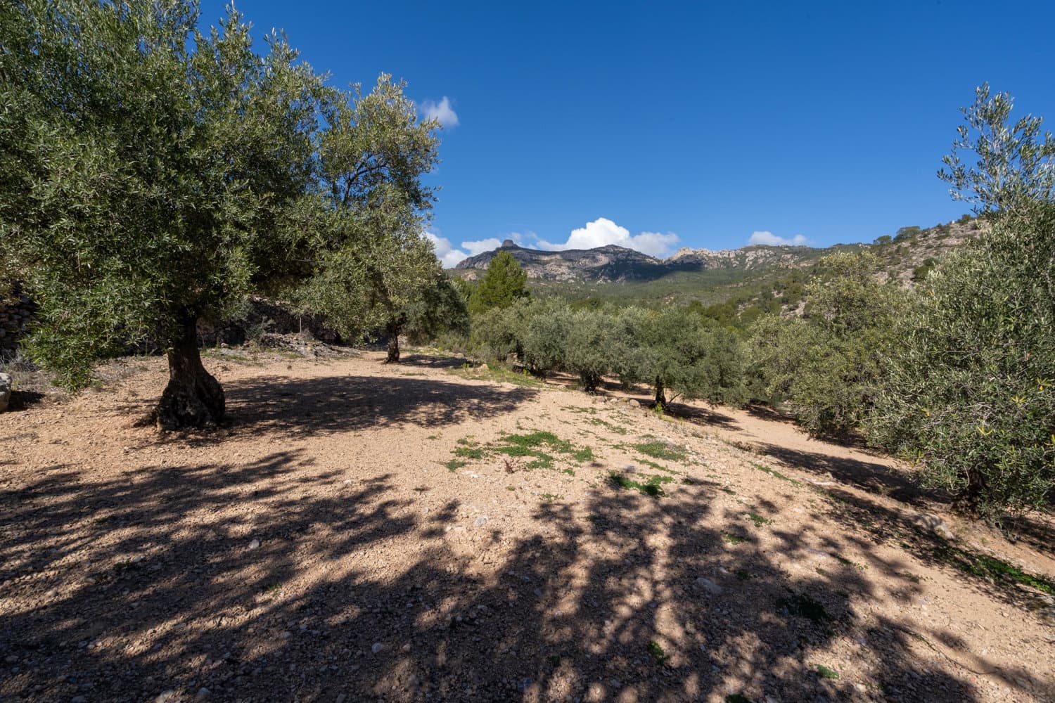 Finca/Maison de Campagne à vendre à Xerta - 70 000 € (Ref: 8142994)