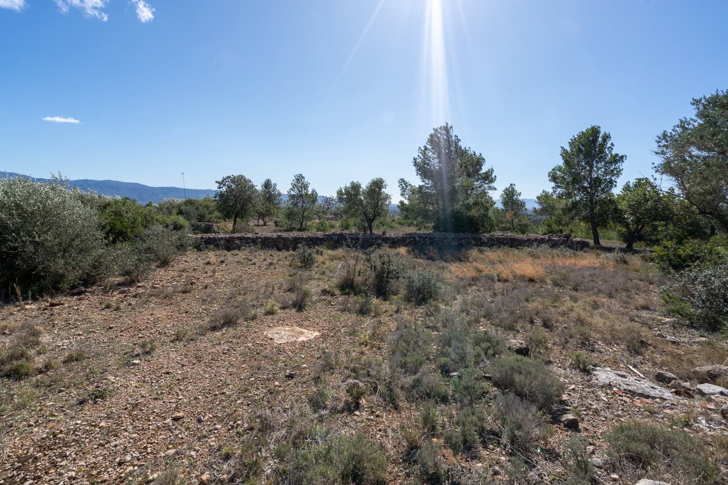 Finca/Maison de Campagne à vendre à Xerta - 70 000 € (Ref: 8142994)