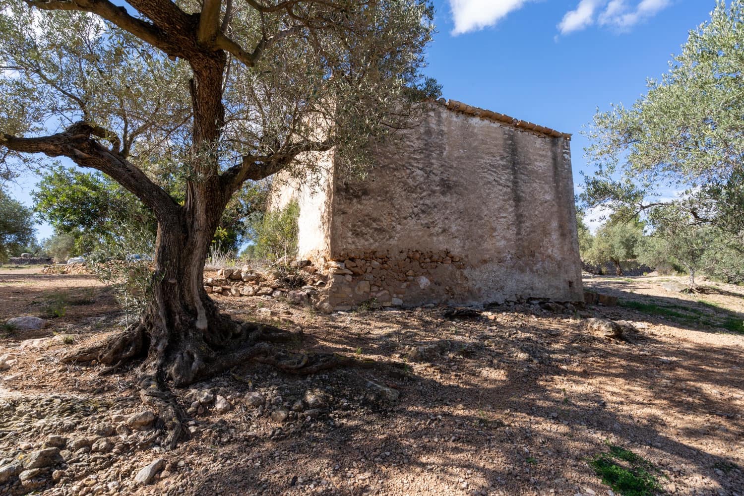 Finca/Maison de Campagne à vendre à Xerta - 70 000 € (Ref: 8142994)