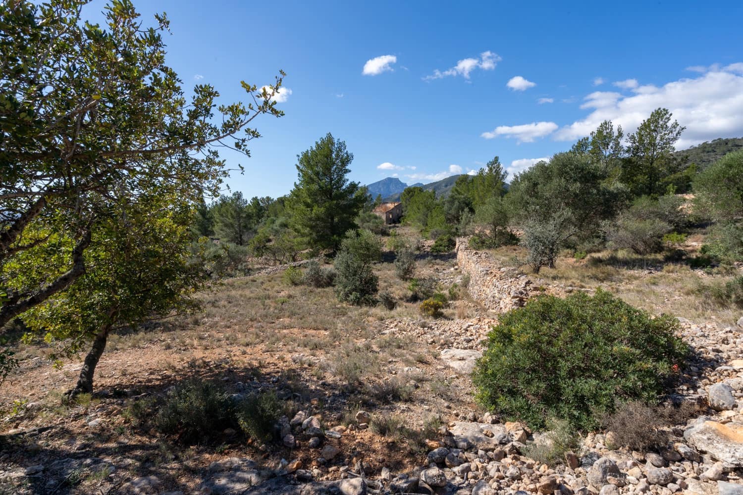 Finca/Maison de Campagne à vendre à Xerta - 70 000 € (Ref: 8142994)