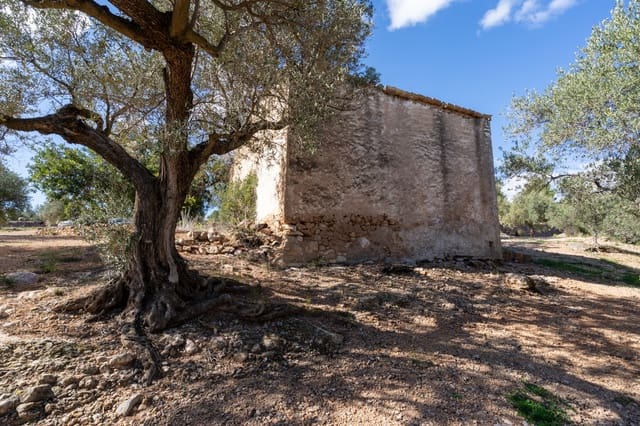 Finca/Herregård til salgs i Xerta - € 70 000 (Ref: 8142994)