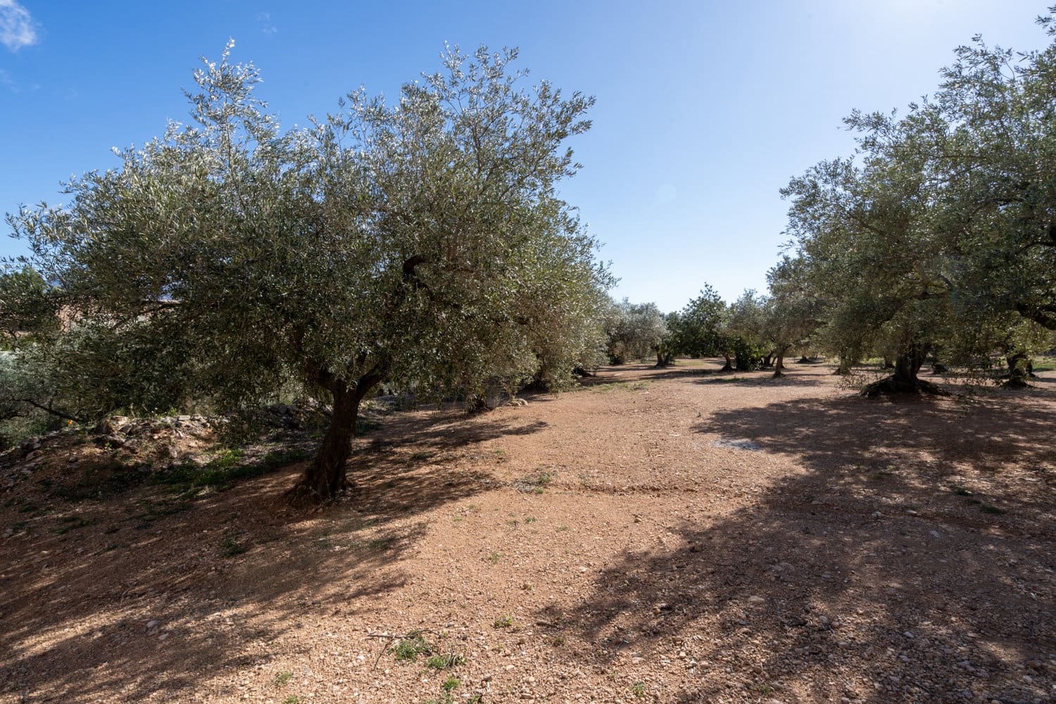 Finca/Maison de Campagne à vendre à Xerta - 70 000 € (Ref: 8142994)