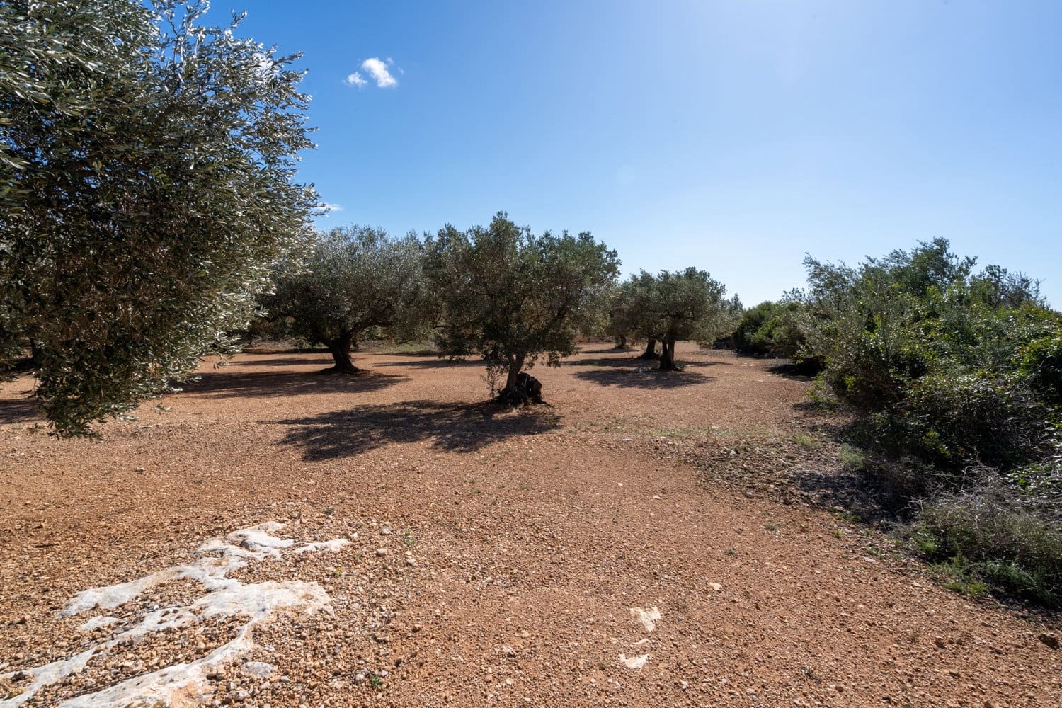 Finca/Maison de Campagne à vendre à Xerta - 70 000 € (Ref: 8142994)