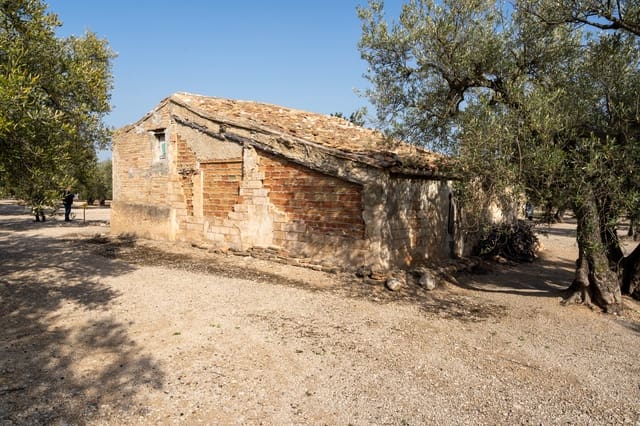 Quinta/Casa Rural para venda em Roquetes - 48 000 € (Ref: 8162509)