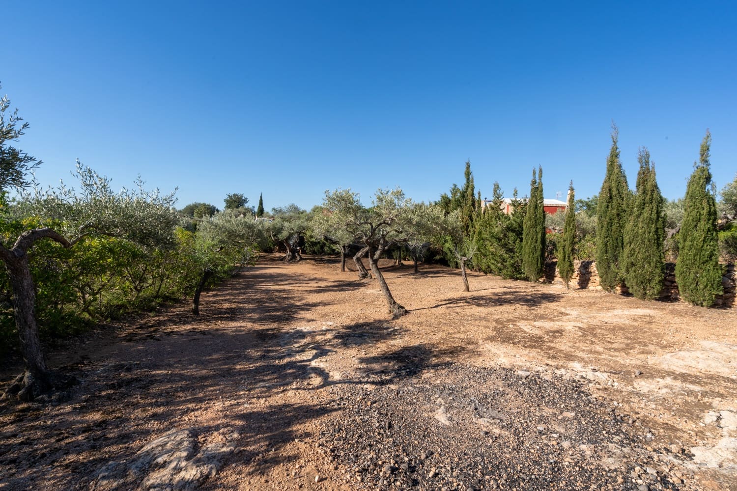 2 soveværelse Finca/Landehus til salg i L'Aldea - € 230.000 (Ref: 8200776)