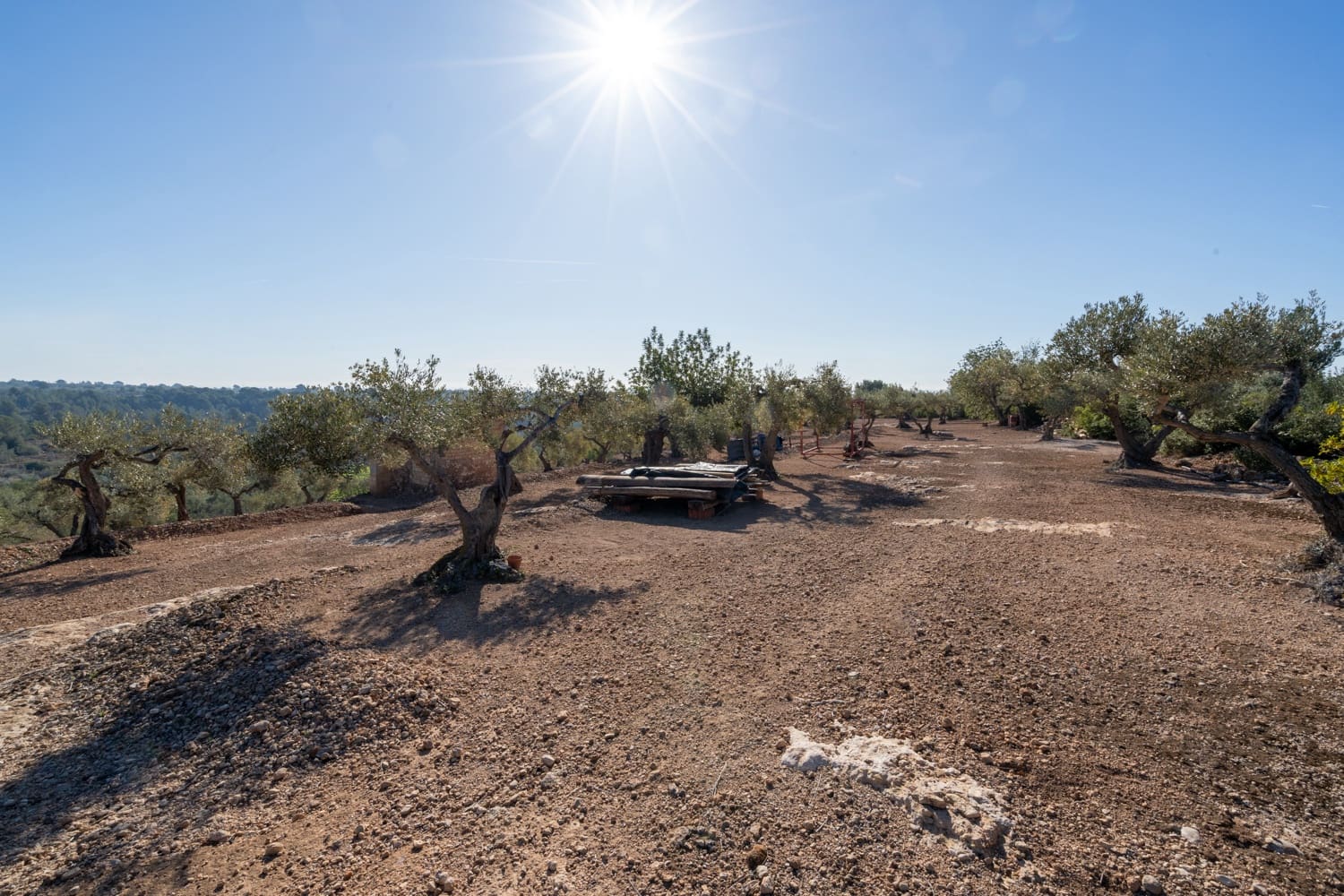 2 soveværelse Finca/Landehus til salg i L'Aldea - € 230.000 (Ref: 8200776)