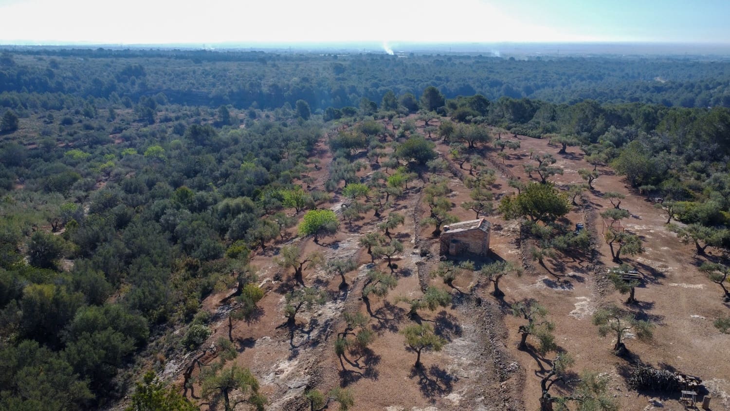 2 soveværelse Finca/Landehus til salg i L'Aldea - € 230.000 (Ref: 8200776)