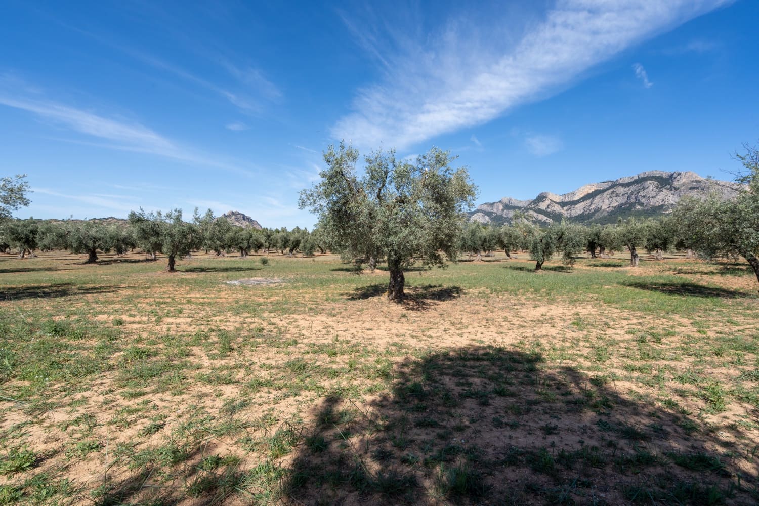 Finca/Landehus til salg i Horta de Sant Joan - € 28.000 (Ref: 8215310)
