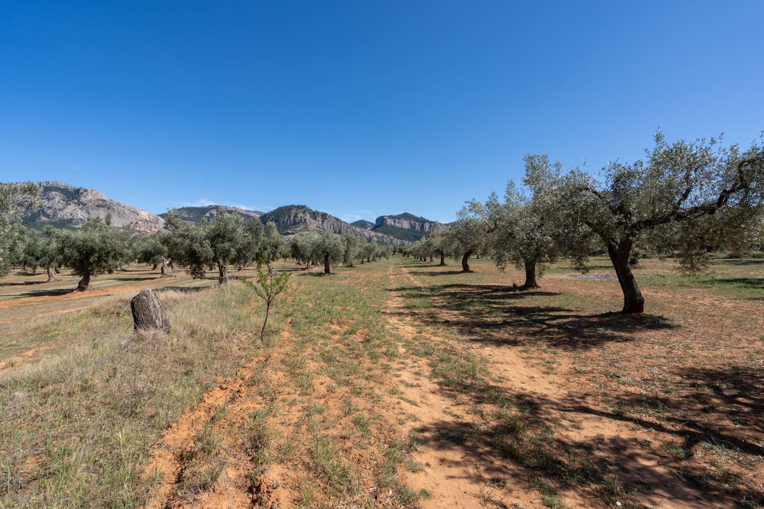 Finca/Landehus til salg i Horta de Sant Joan - € 28.000 (Ref: 8215310)