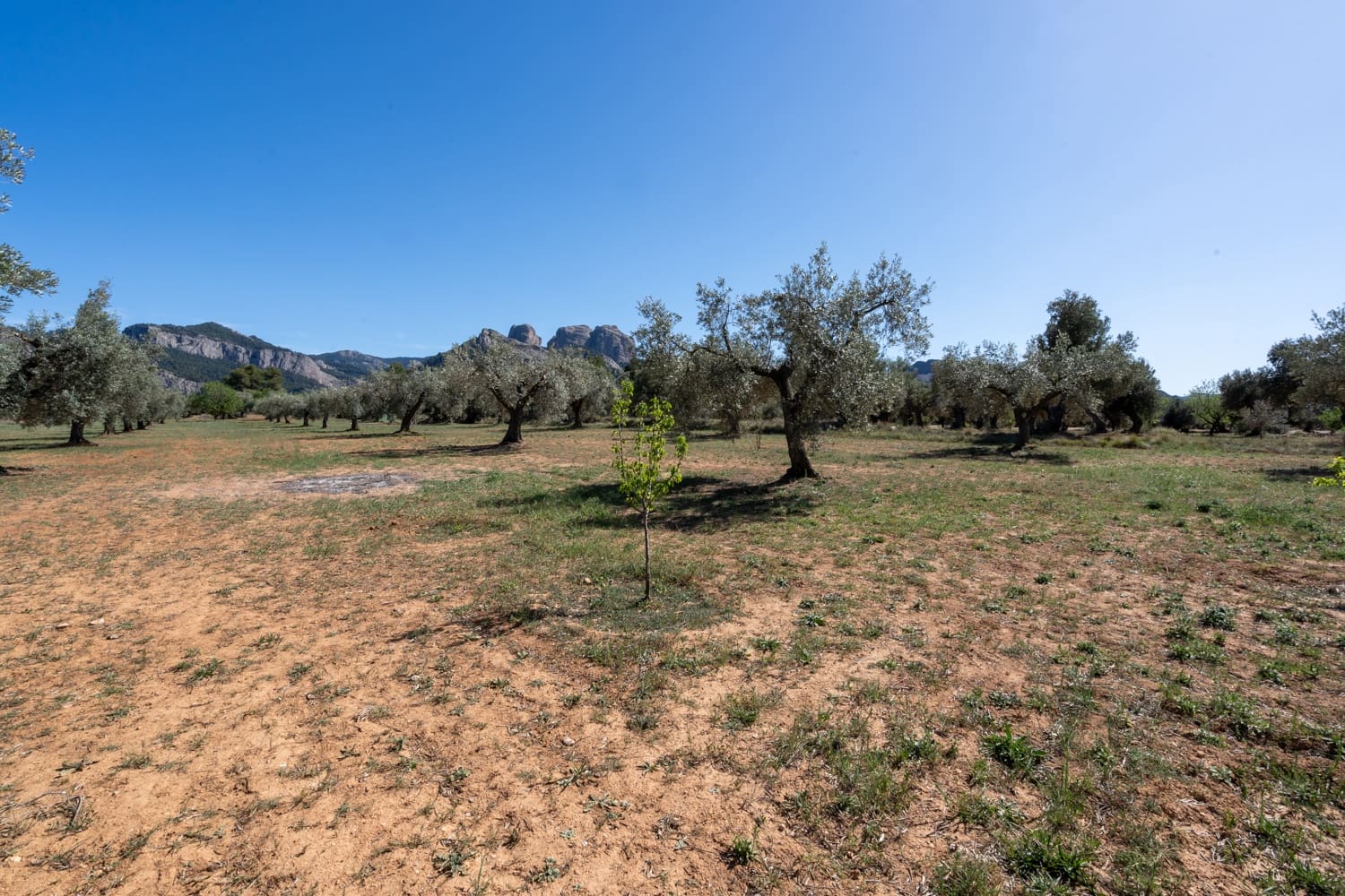 Finca/Landehus til salg i Horta de Sant Joan - € 28.000 (Ref: 8215310)
