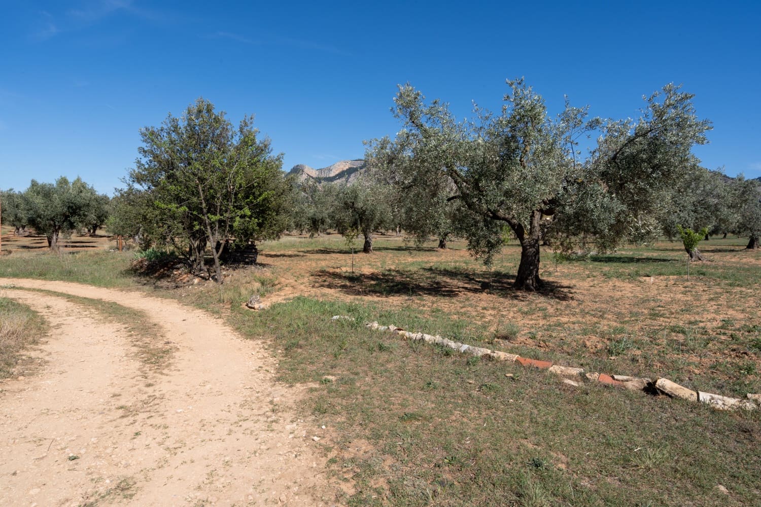 Finca/Landehus til salg i Horta de Sant Joan - € 28.000 (Ref: 8215310)