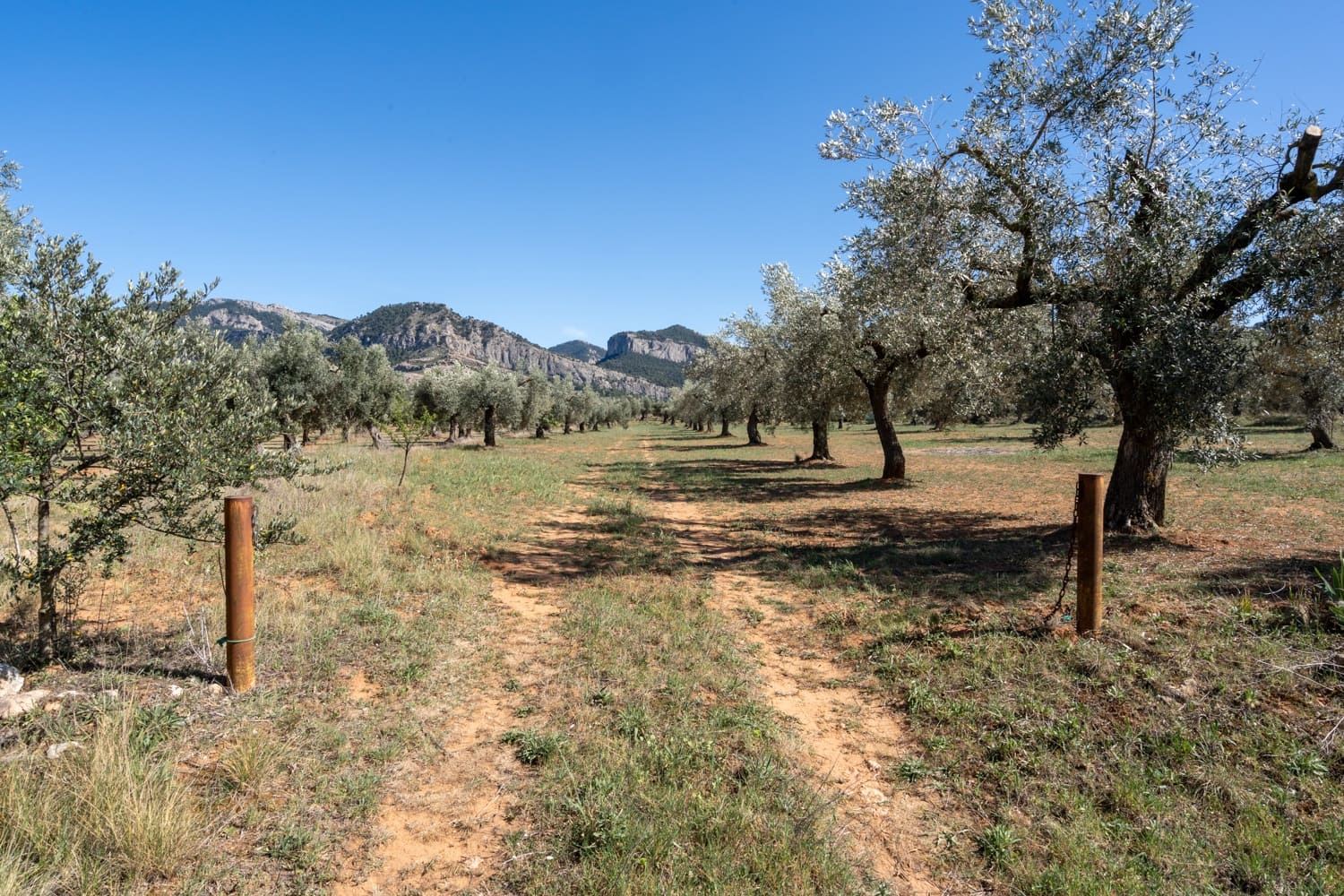 Finca/Landehus til salg i Horta de Sant Joan - € 28.000 (Ref: 8215310)