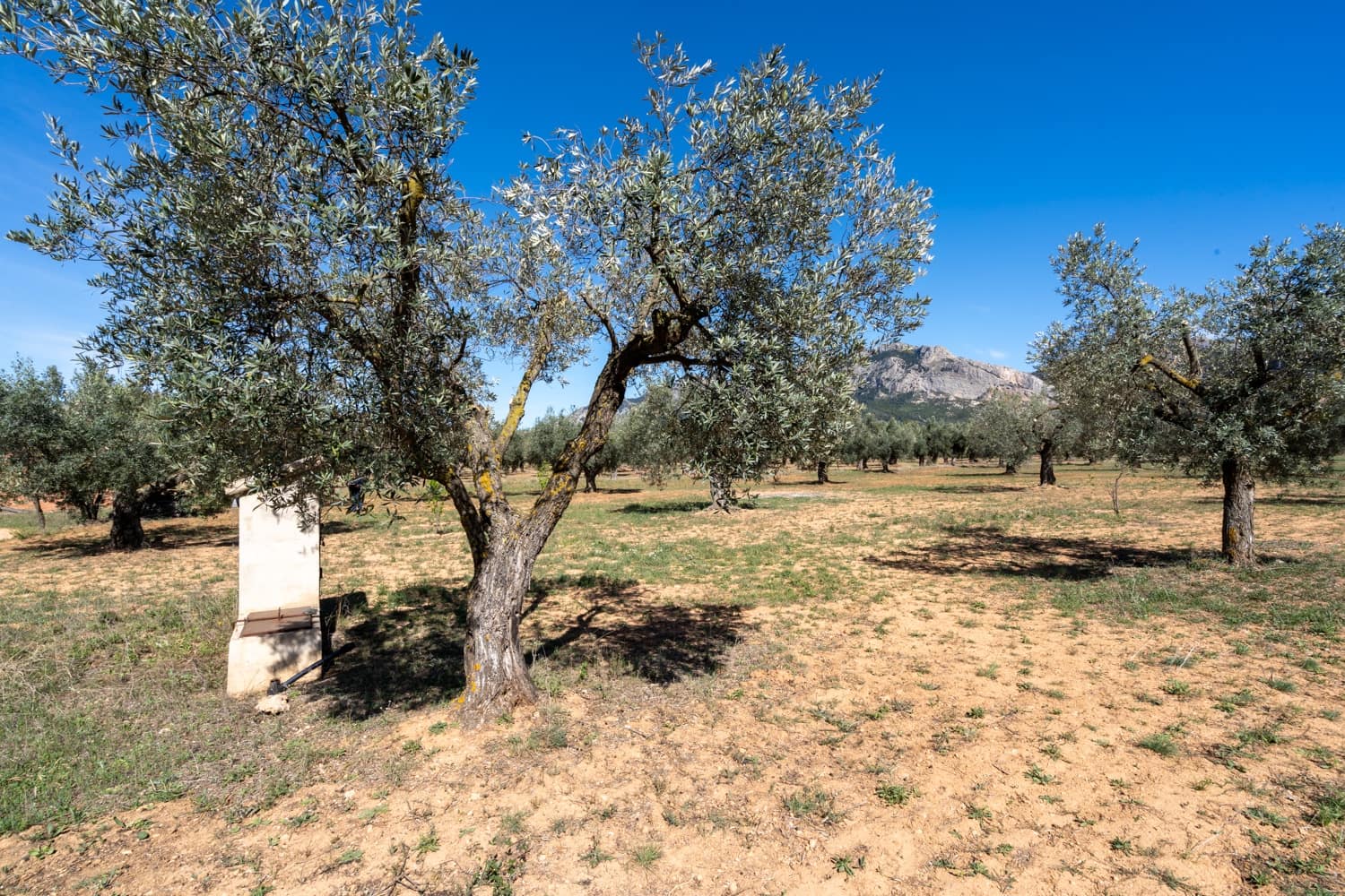 Finca/Landehus til salg i Horta de Sant Joan - € 28.000 (Ref: 8215310)