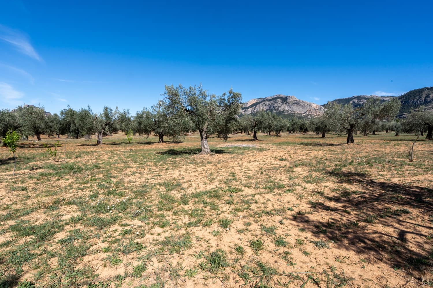 Finca/Landehus til salg i Horta de Sant Joan - € 28.000 (Ref: 8215310)