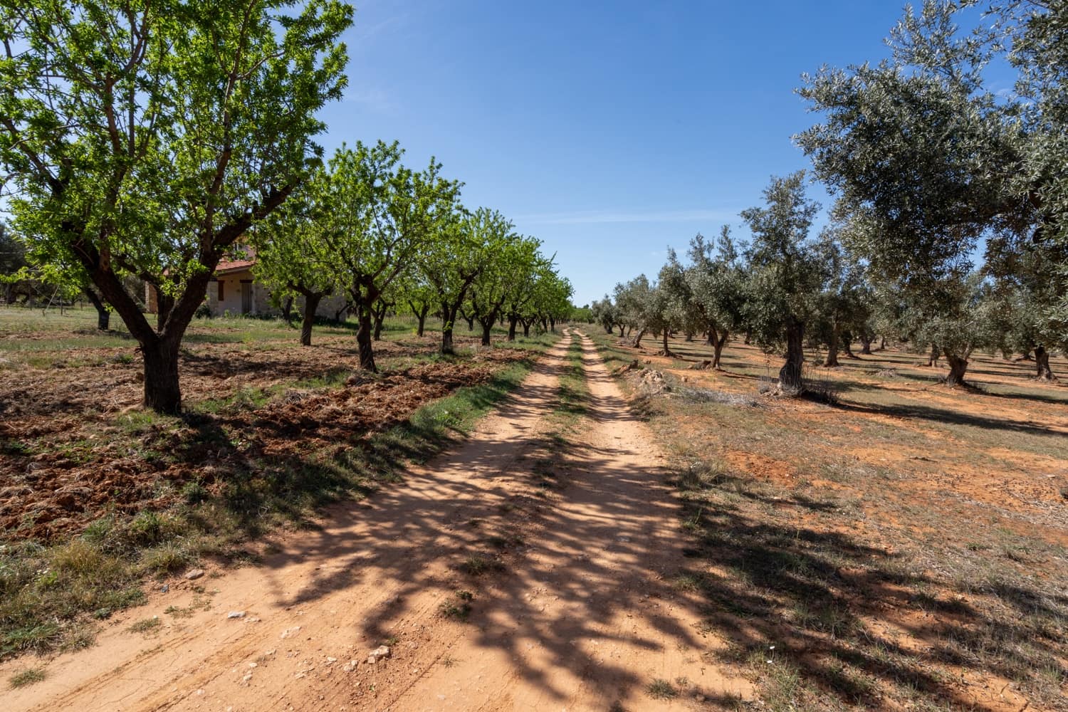 Finca/Landehus til salg i Horta de Sant Joan - € 28.000 (Ref: 8215310)