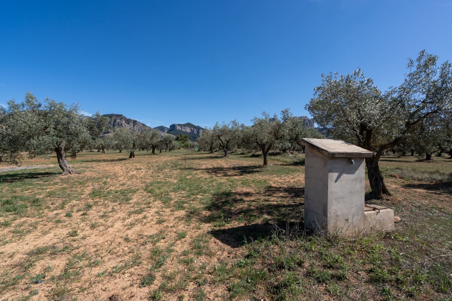 Finca/Landehus til salg i Horta de Sant Joan - € 28.000 (Ref: 8215310)