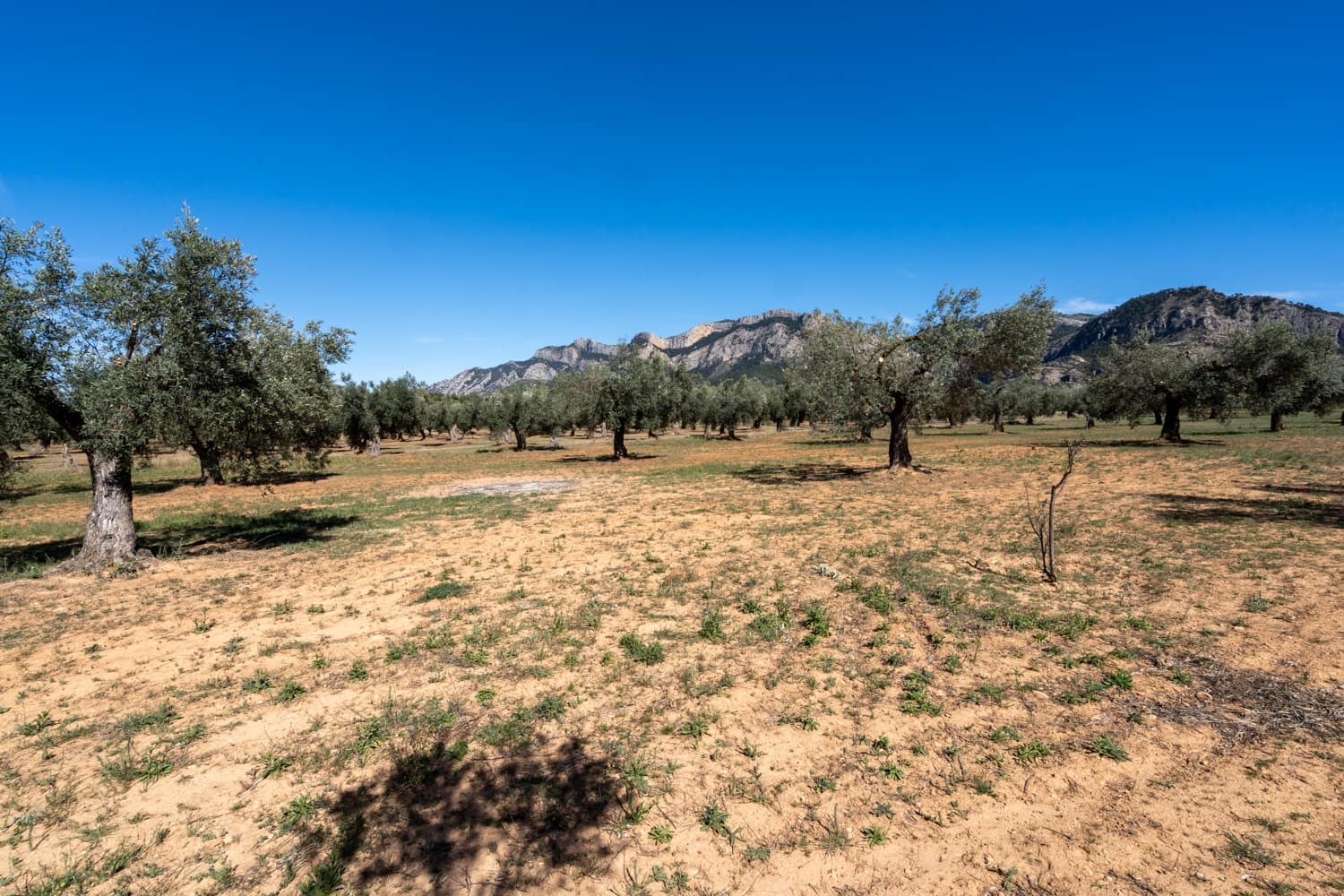 Finca/Landehus til salg i Horta de Sant Joan - € 28.000 (Ref: 8215310)