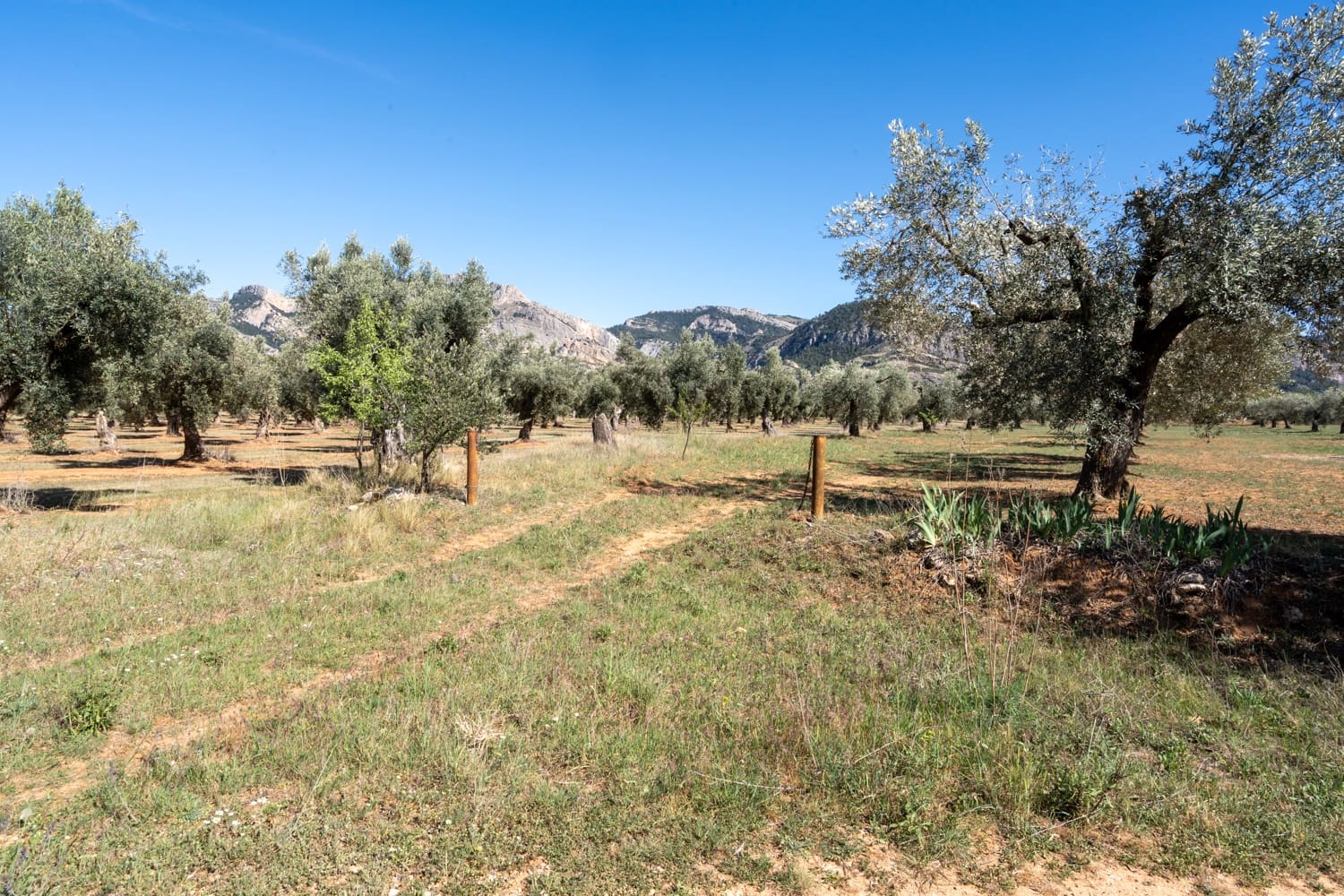 Finca/Landehus til salg i Horta de Sant Joan - € 28.000 (Ref: 8215310)