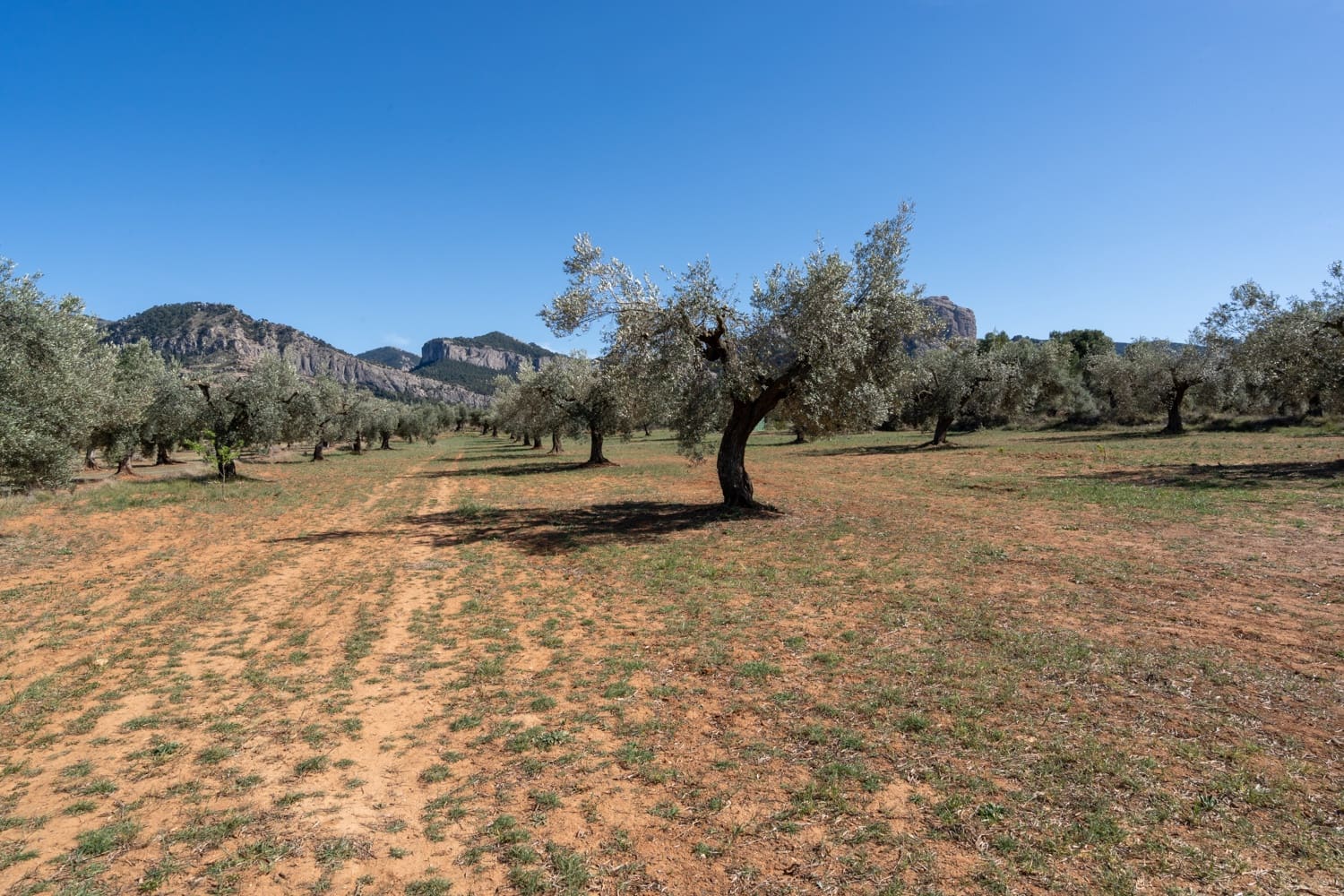 Finca/Landehus til salg i Horta de Sant Joan - € 28.000 (Ref: 8215310)
