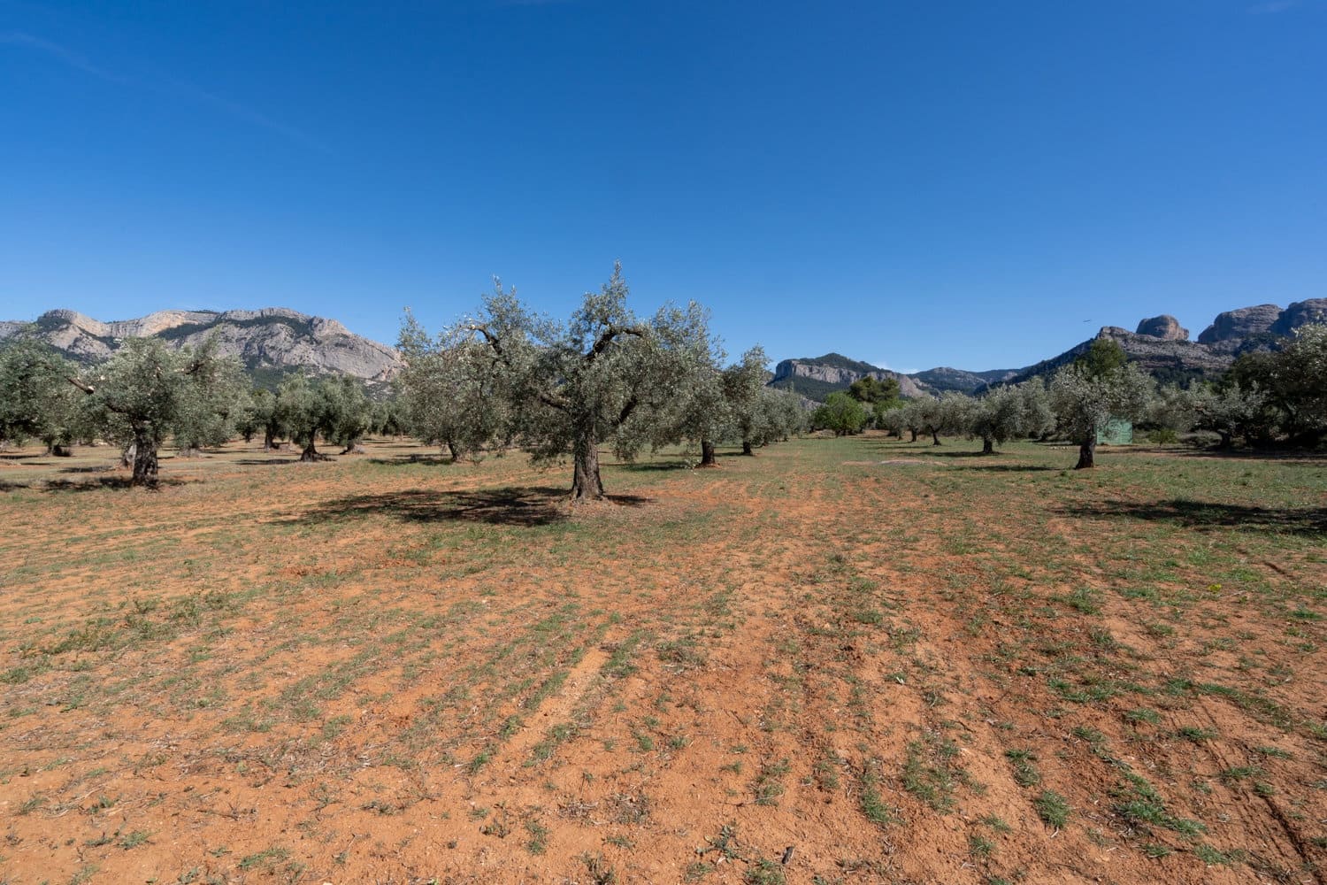 Finca/Landehus til salg i Horta de Sant Joan - € 28.000 (Ref: 8215310)