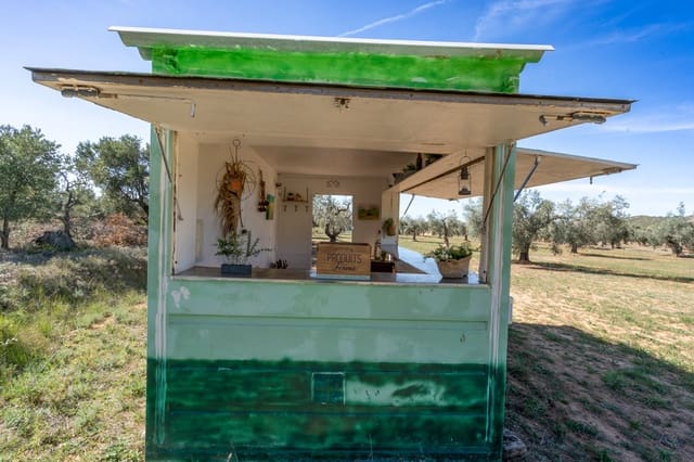 Finka/Dom wiejski na sprzedaż w Horta de Sant Joan - 28 000 € (Ref: 8215310)