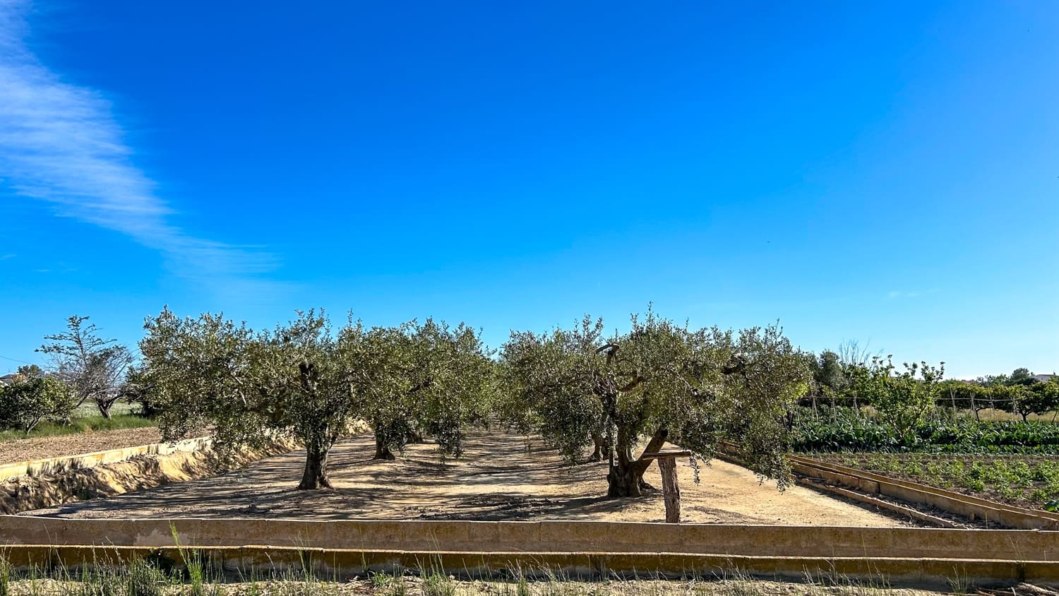 Finca/Landhuis te koop in Sant Jaume d'Enveja - € 17.000 (Ref: 8215311)