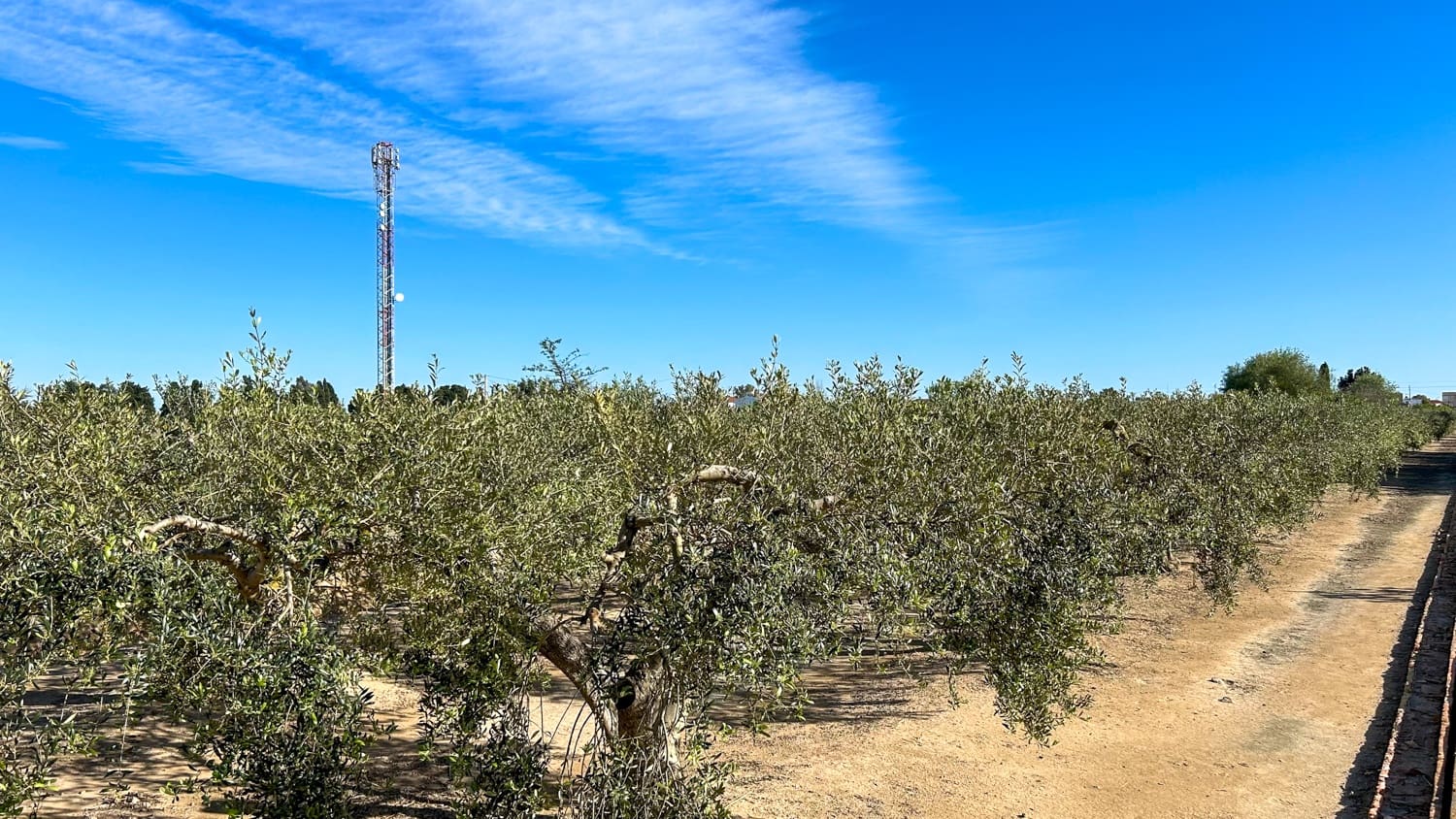 Finca/Landhuis te koop in Sant Jaume d'Enveja - € 17.000 (Ref: 8215311)