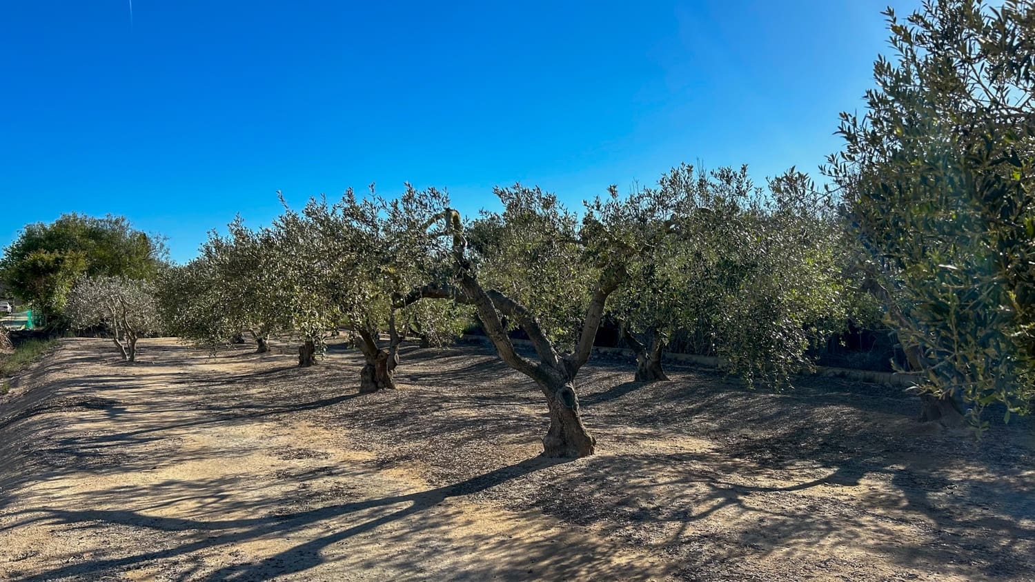 Finca/Landhuis te koop in Sant Jaume d'Enveja - € 17.000 (Ref: 8215311)