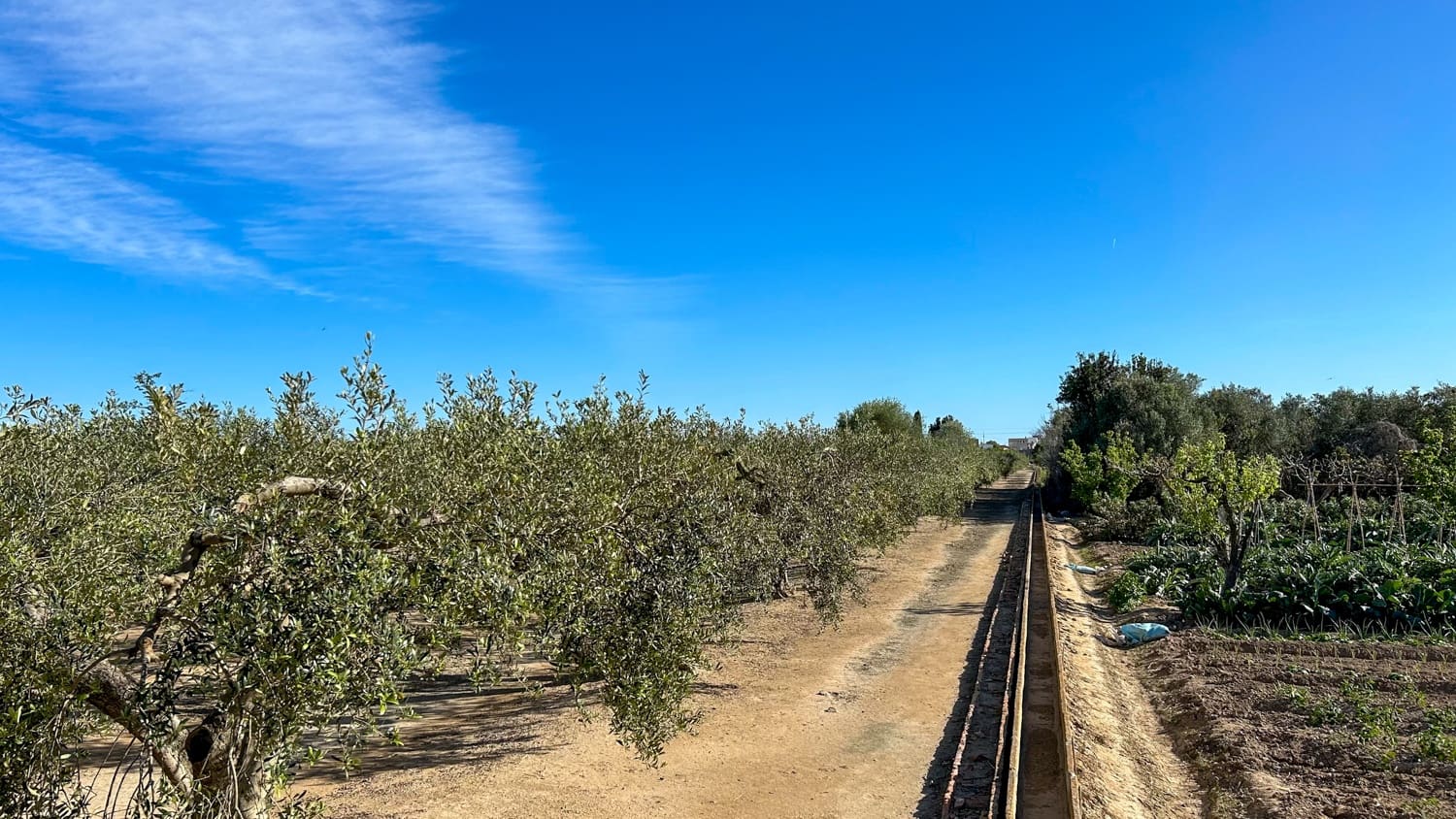 Finca/Landhuis te koop in Sant Jaume d'Enveja - € 17.000 (Ref: 8215311)