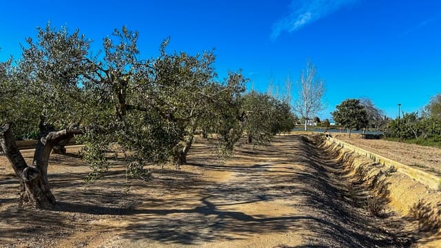 Finca/Country House for sale in Sant Jaume d'Enveja - € 17,000 (Ref: 8215311)