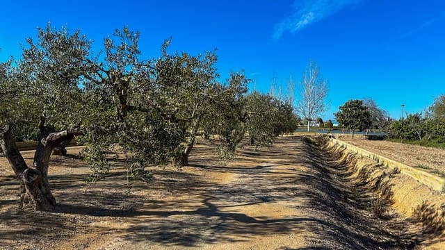 Finca/Maison de Campagne à vendre à Sant Jaume d'Enveja - 17 000 € (Ref: 8215311)