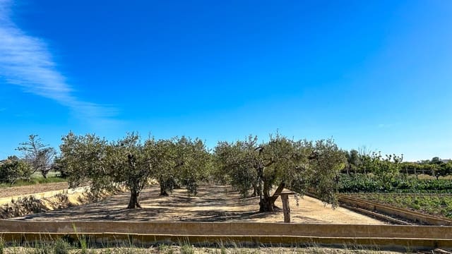Finca/Maison de Campagne à vendre à Sant Jaume d'Enveja - 17 000 € (Ref: 8215311)