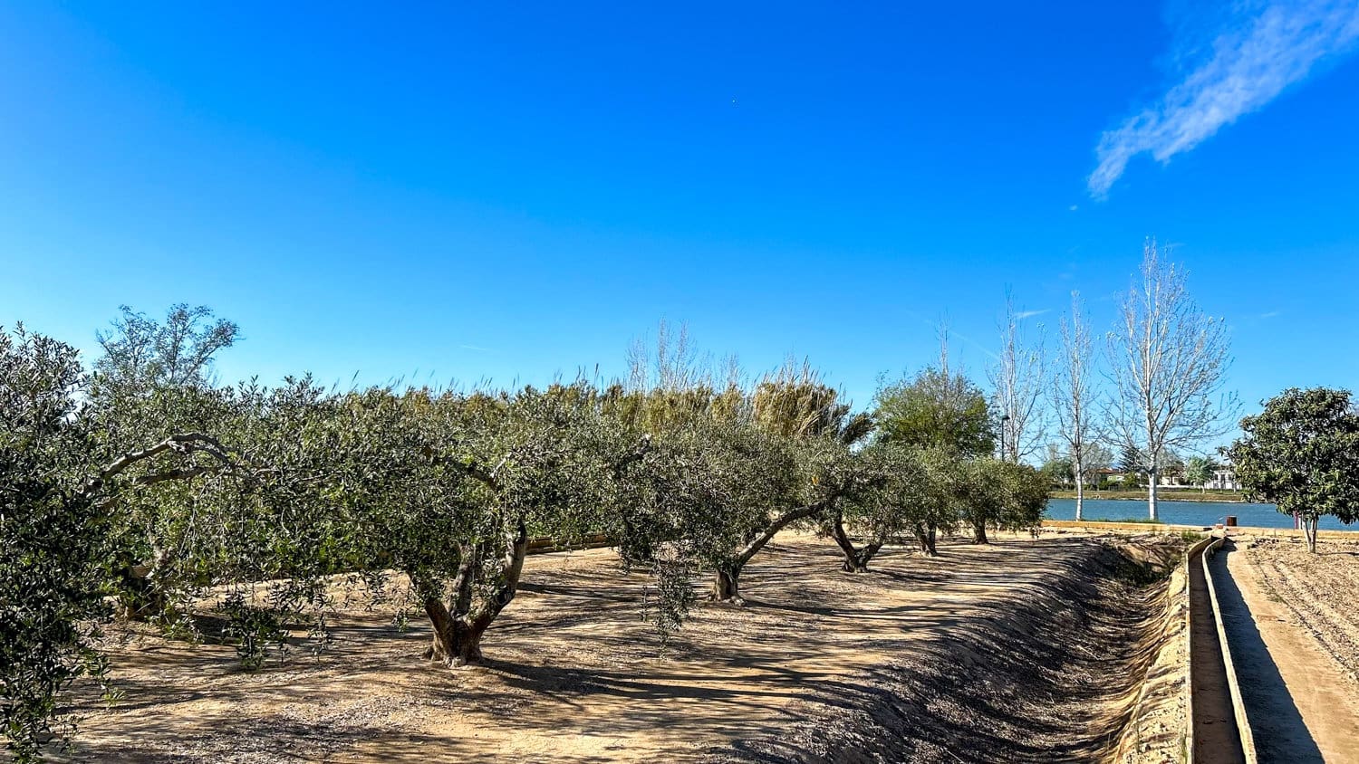 Quinta/Casa Rural para venda em Sant Jaume d'Enveja - 17 000 € (Ref: 8215311)