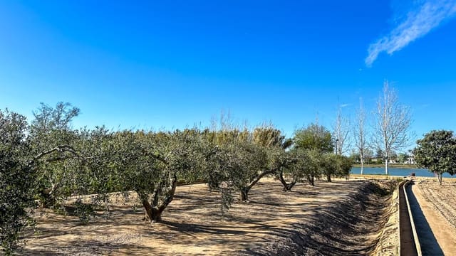 Finca/Maison de Campagne à vendre à Sant Jaume d'Enveja - 17 000 € (Ref: 8215311)