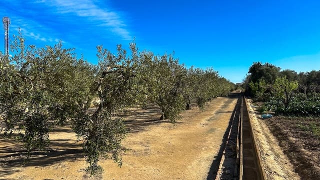 Finca/Maison de Campagne à vendre à Sant Jaume d'Enveja - 17 000 € (Ref: 8215311)