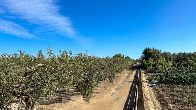 Finca/Maison de Campagne à vendre à Sant Jaume d'Enveja - 17 000 € (Ref: 8215311)