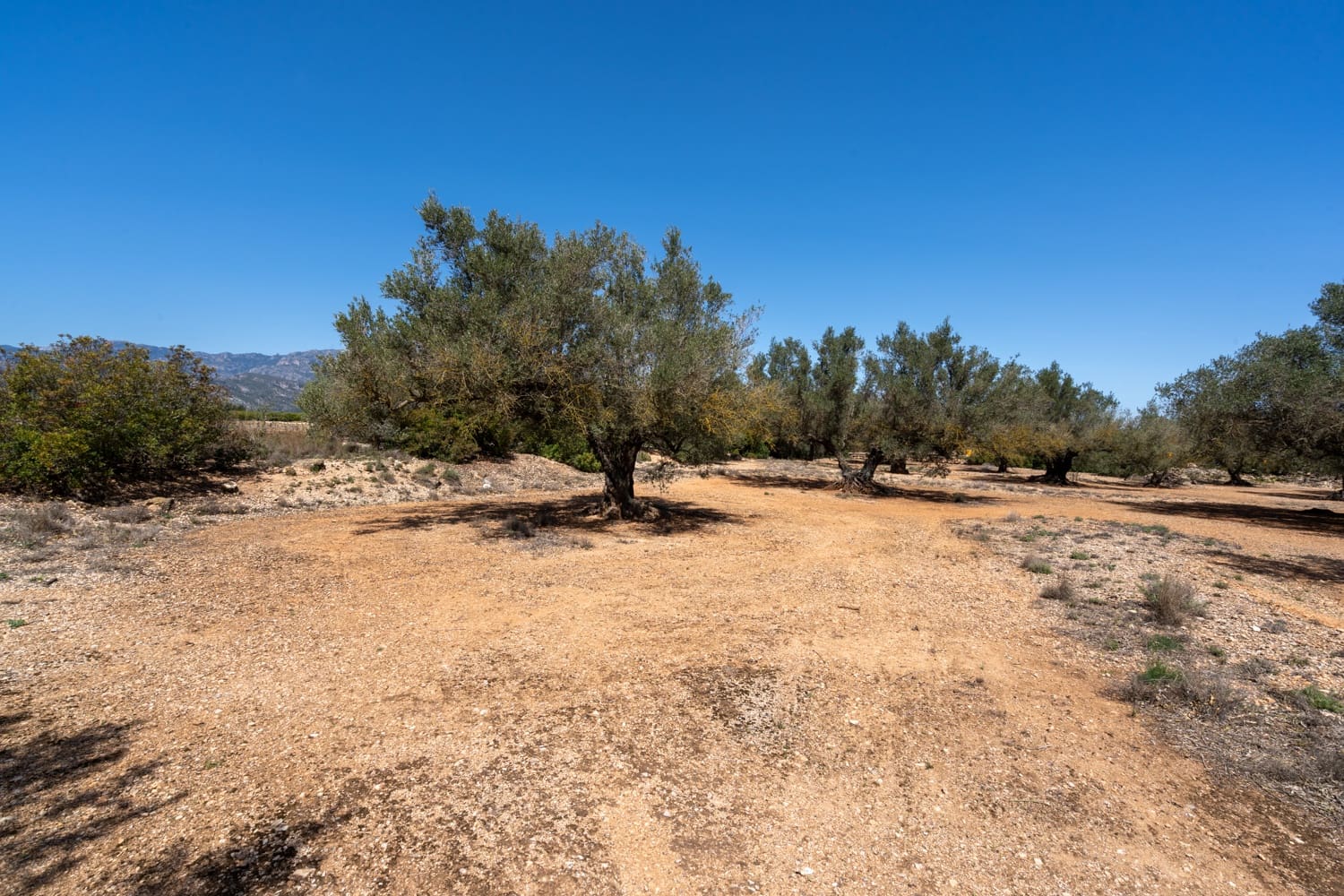 Finca/Country House for sale in Roquetes - € 12,000 (Ref: 8215312)