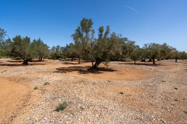 Quinta/Casa Rural para venda em Roquetes - 12 000 € (Ref: 8215312)