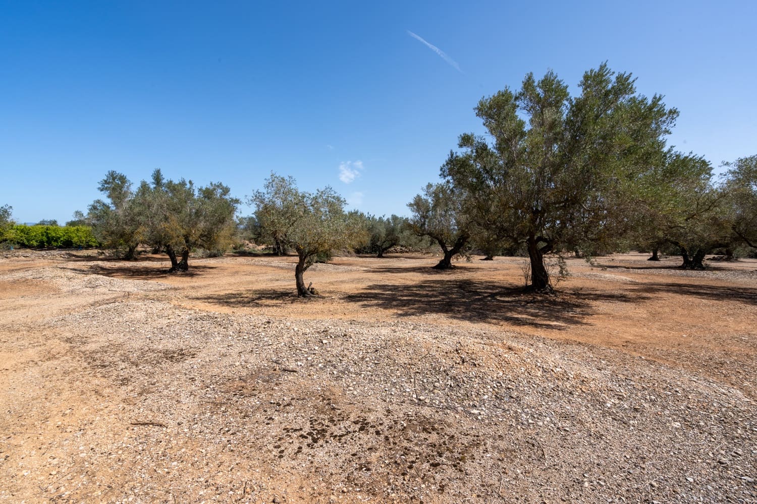 Finca/Country House for sale in Roquetes - € 12,000 (Ref: 8215312)