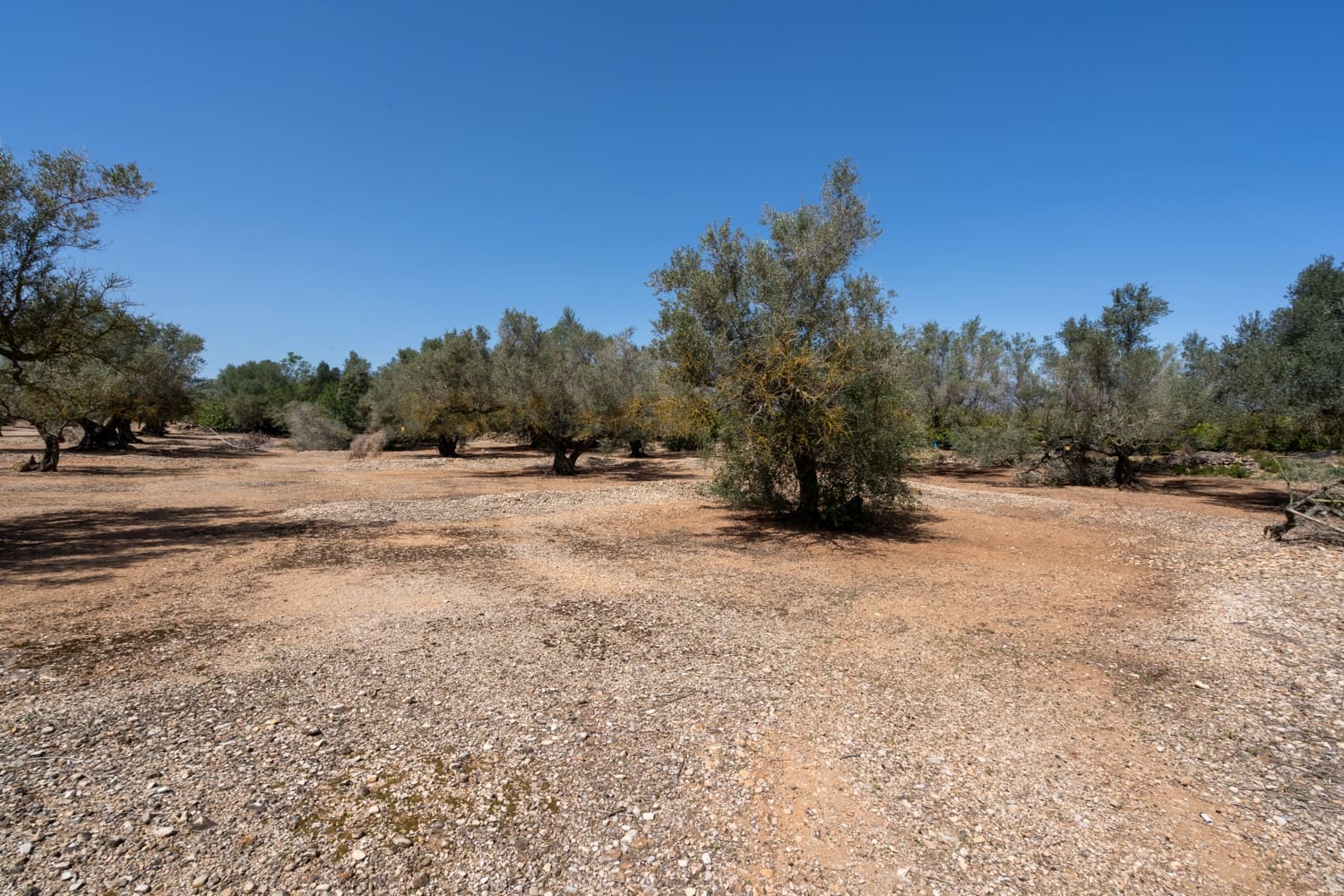 Finca/Country House for sale in Roquetes - € 12,000 (Ref: 8215312)