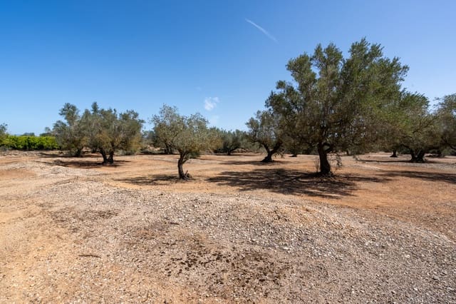 Quinta/Casa Rural para venda em Roquetes - 12 000 € (Ref: 8215312)
