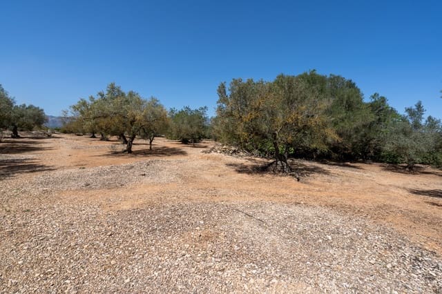 Finca/Casa di Campagna in vendita in Roquetes - 12.000 € (Rif: 8215312)