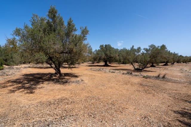 Finca/Casa di Campagna in vendita in Roquetes - 12.000 € (Rif: 8215312)