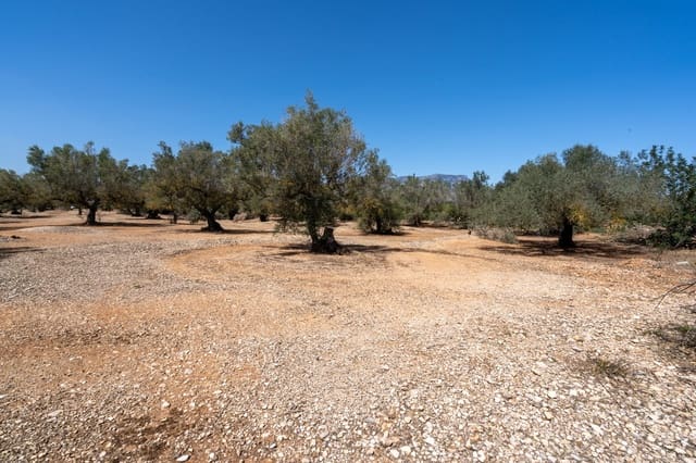 Finca/Casa di Campagna in vendita in Roquetes - 12.000 € (Rif: 8215312)