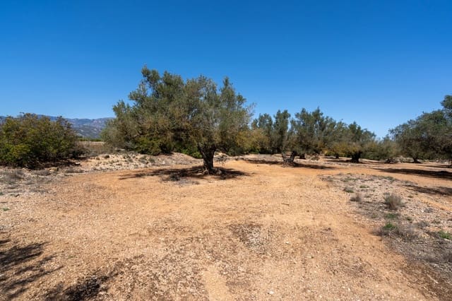 Finca/Casa di Campagna in vendita in Roquetes - 12.000 € (Rif: 8215312)