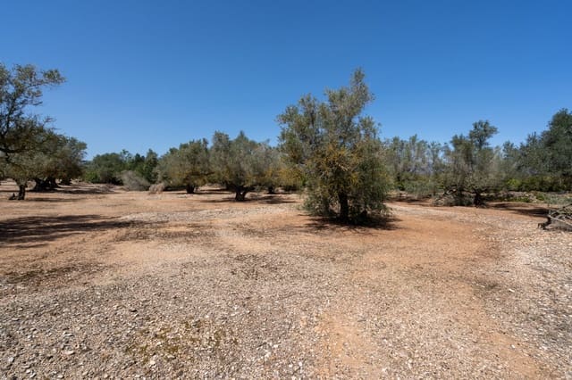 Finca/Casa di Campagna in vendita in Roquetes - 12.000 € (Rif: 8215312)