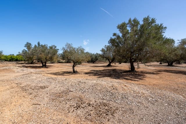 Finca/Casa di Campagna in vendita in Roquetes - 12.000 € (Rif: 8215312)