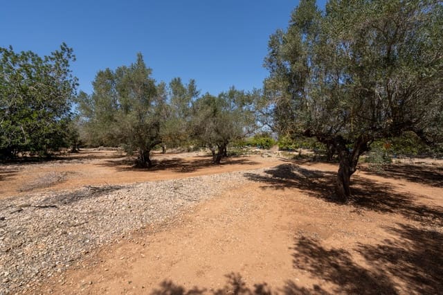 Finca/Casa di Campagna in vendita in Roquetes - 12.000 € (Rif: 8215312)